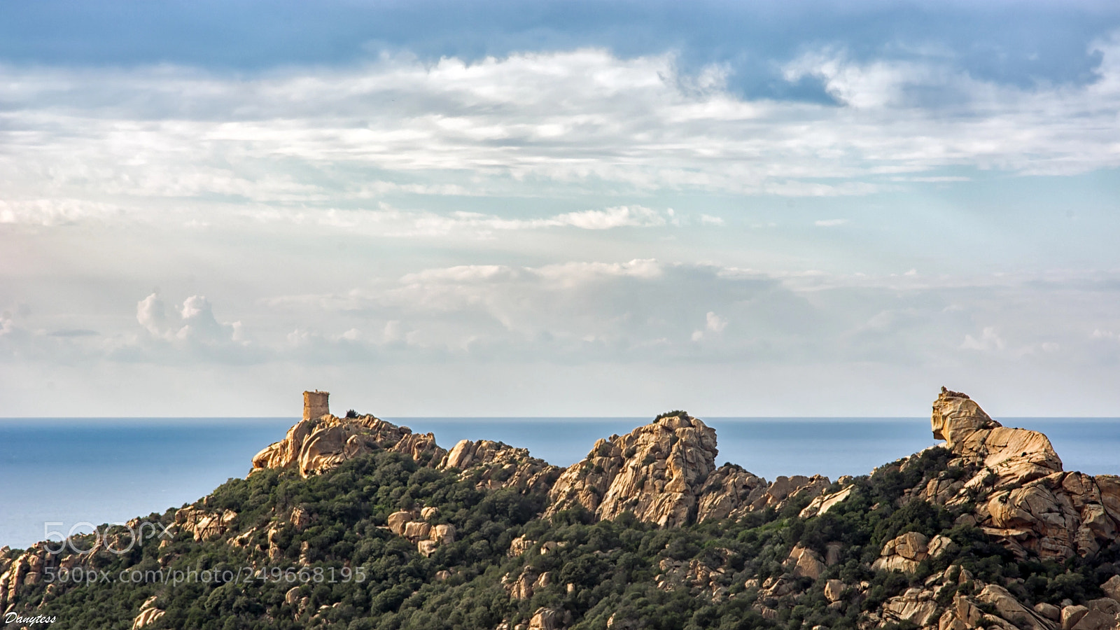 Nikon D7100 sample photo. Lion of roccapina photography