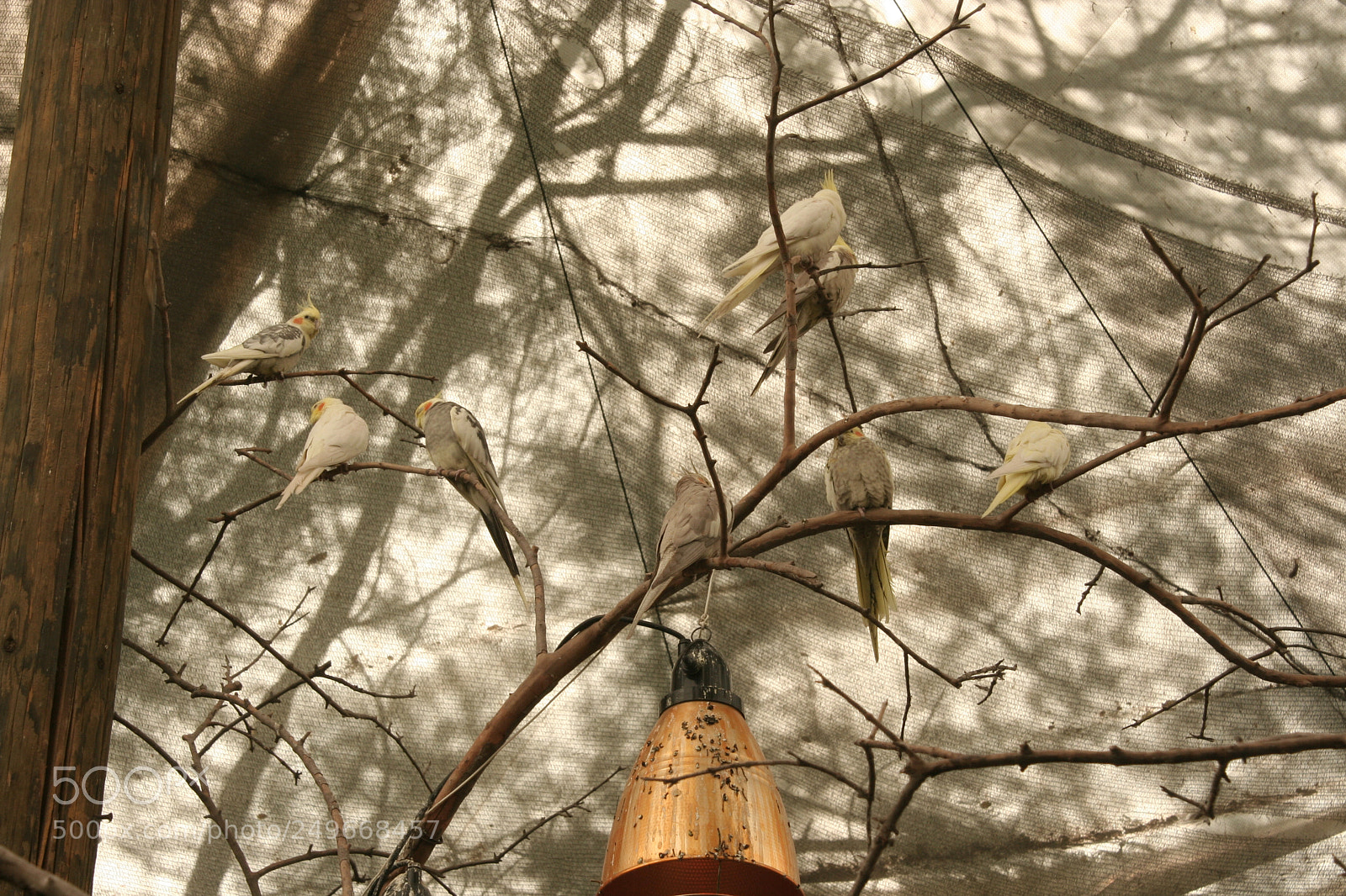Canon EOS 350D (EOS Digital Rebel XT / EOS Kiss Digital N) sample photo. . photography