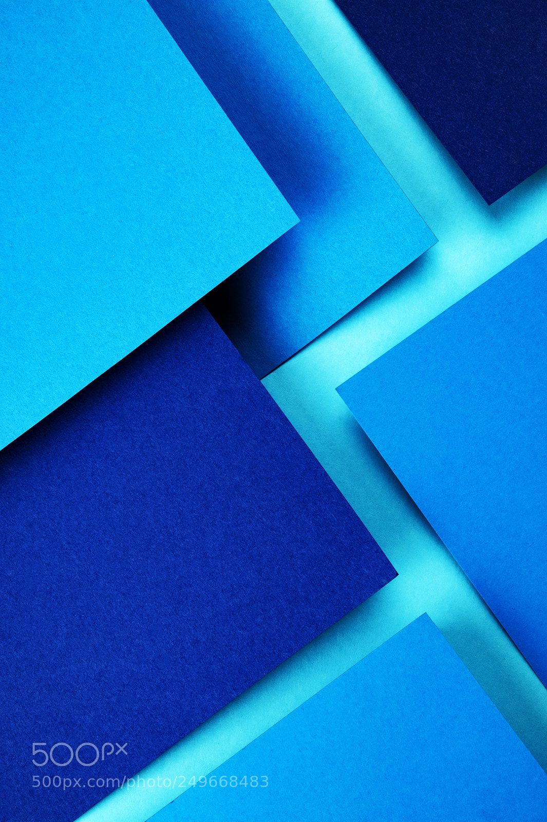 Nikon D5500 sample photo. A group of blue photography