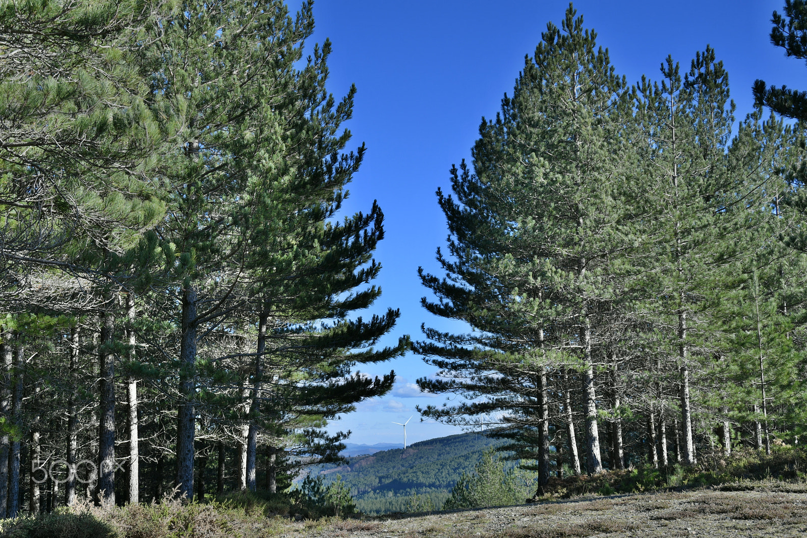 Nikon D7500 sample photo. Serra da lousã photography
