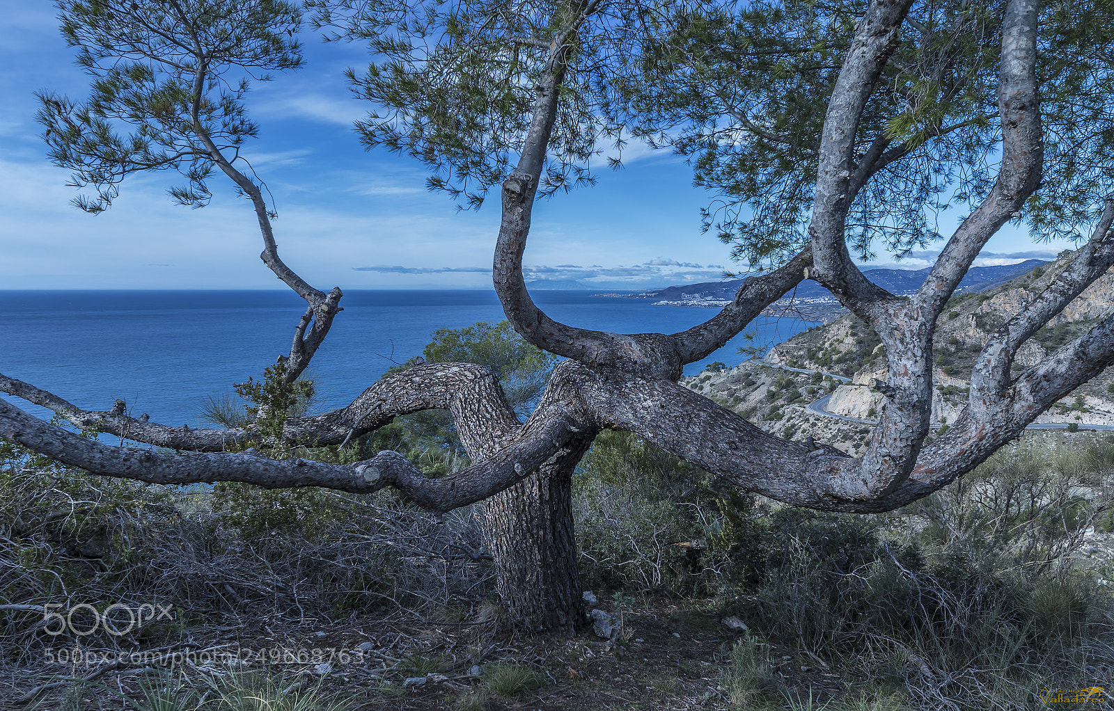 Canon EOS 7D Mark II sample photo. Solitario con vistas al photography