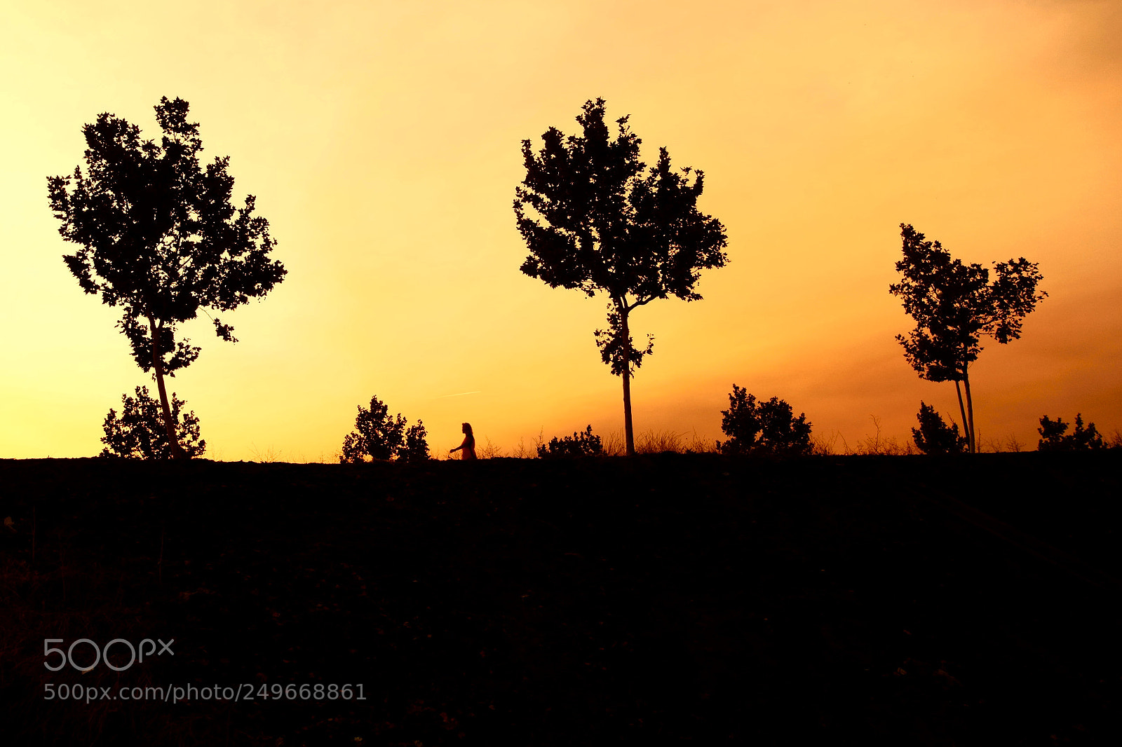 Sony SLT-A58 sample photo. Sunset. photography