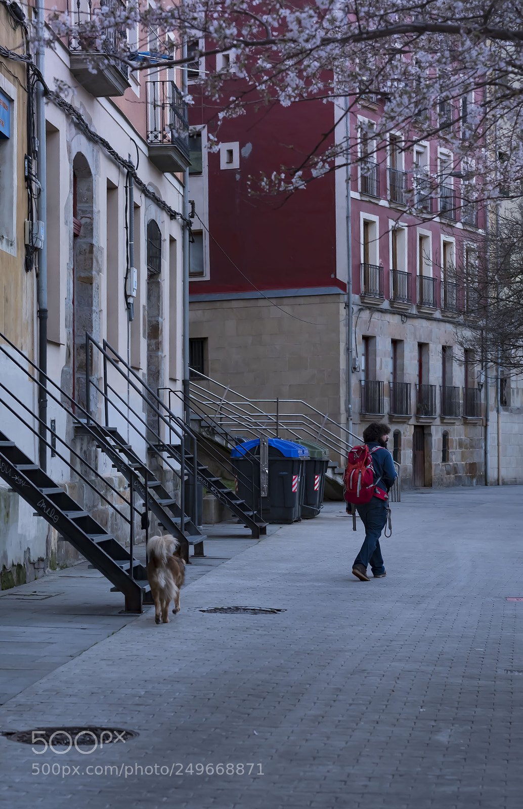 Fujifilm X-Pro2 sample photo. Untitled photography