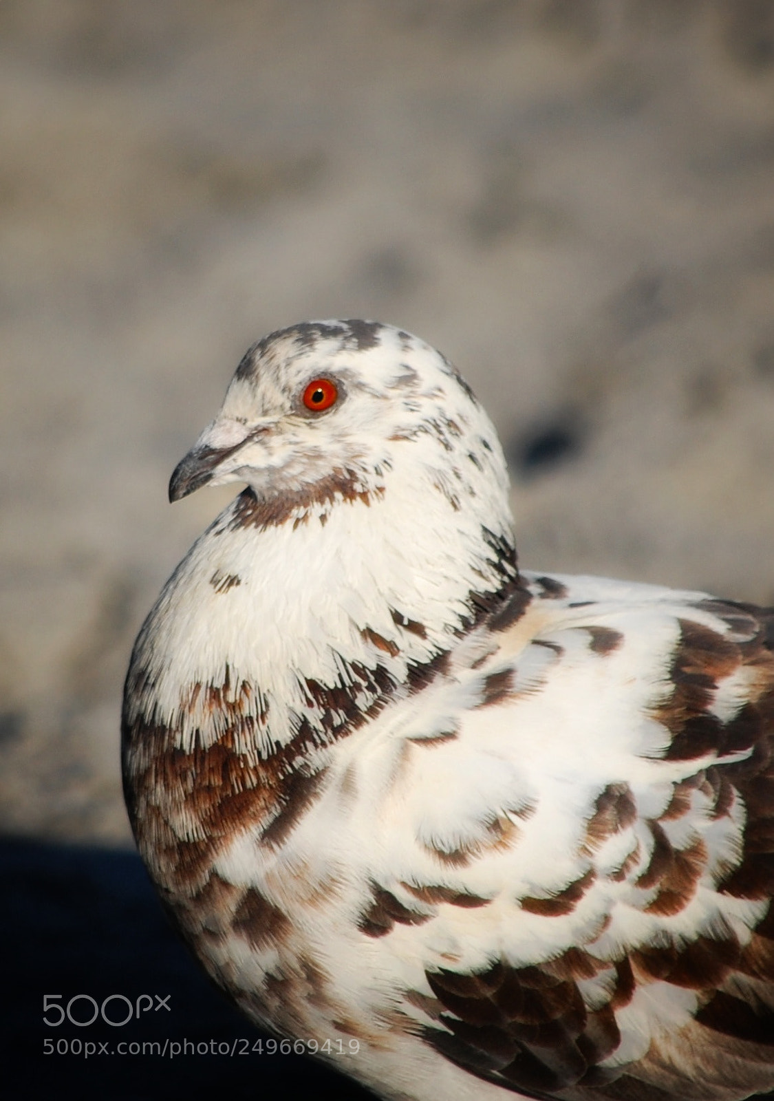 Nikon D40 sample photo. Untitled photography