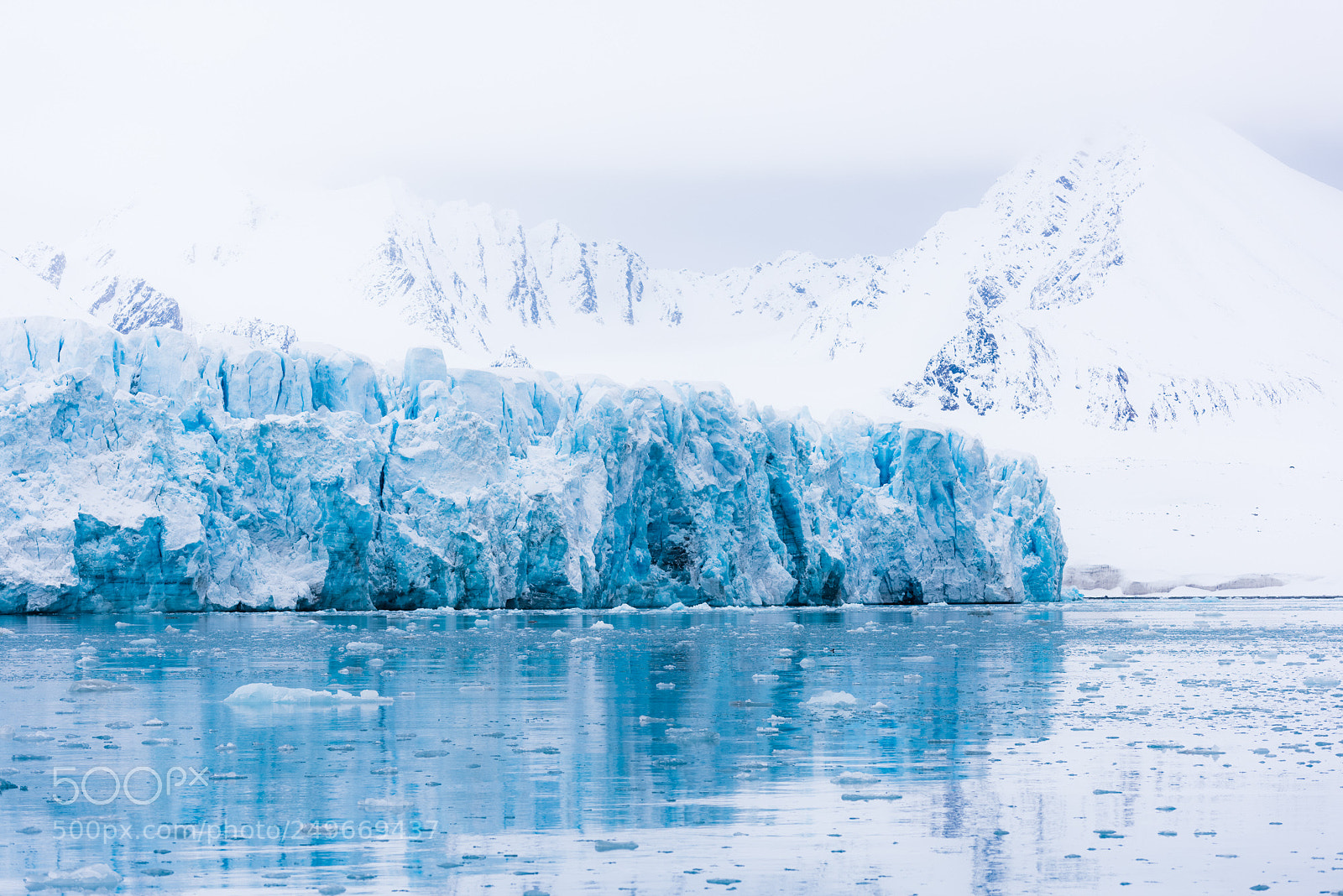 Nikon D810 sample photo. Svalbard - cruise to photography
