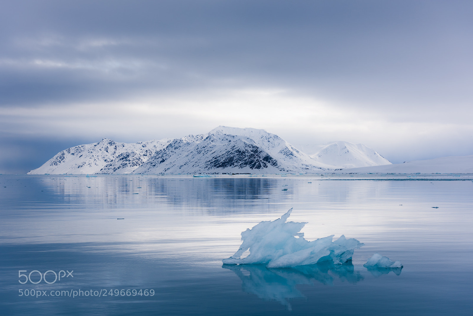Nikon D810 sample photo. Svalbard - cruise to photography