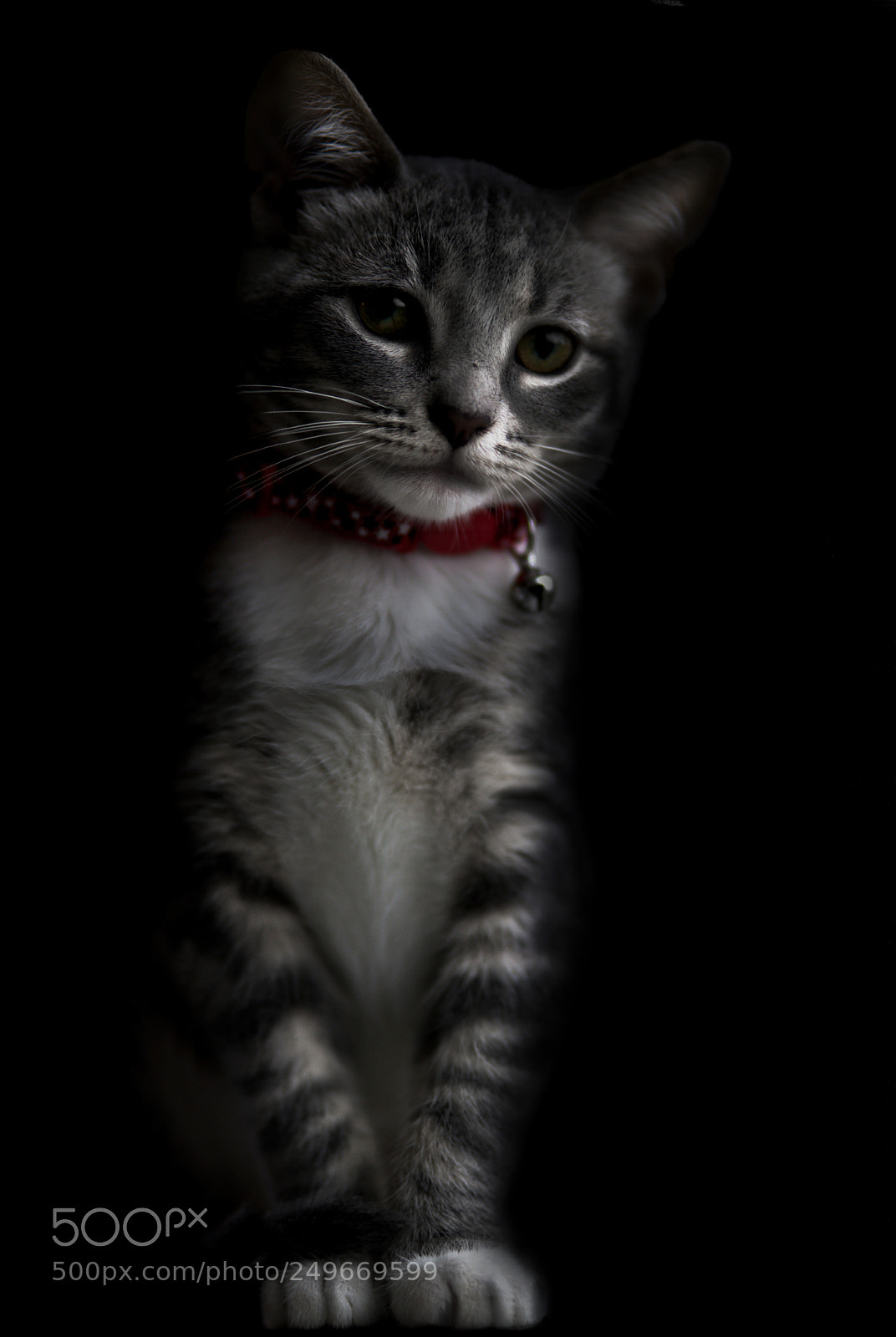 Sony a7R II sample photo. Zelda portrait photography