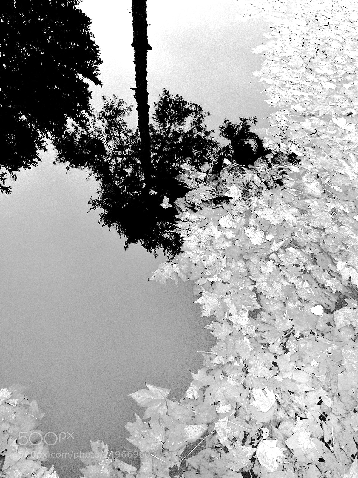 HUAWEI P10 sample photo. Untitled photography