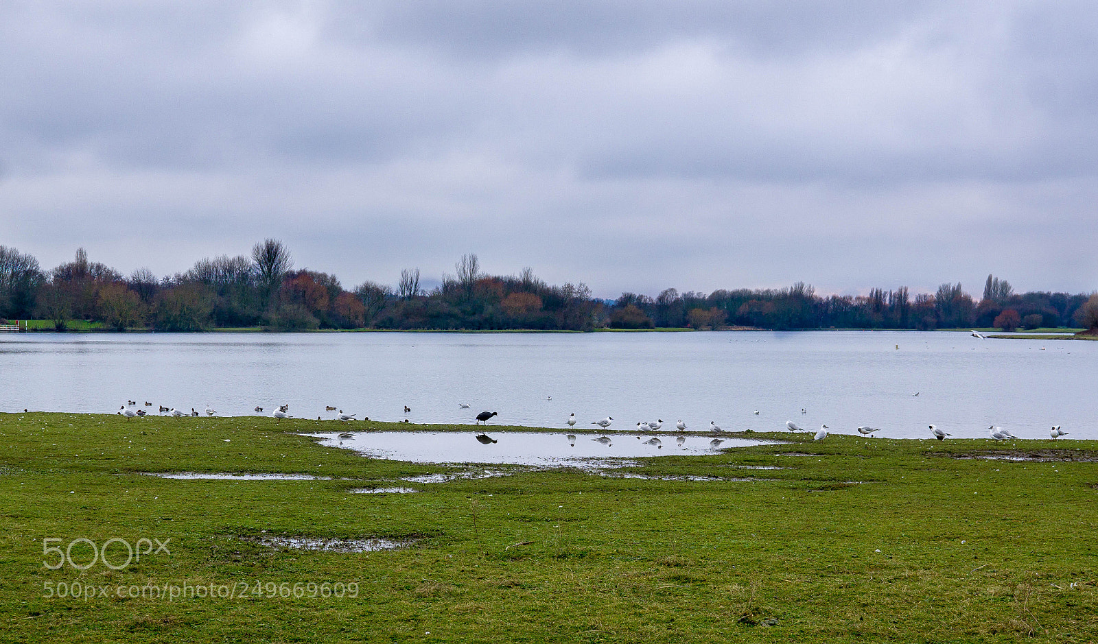 Sony a6000 sample photo. Birdwalk photography
