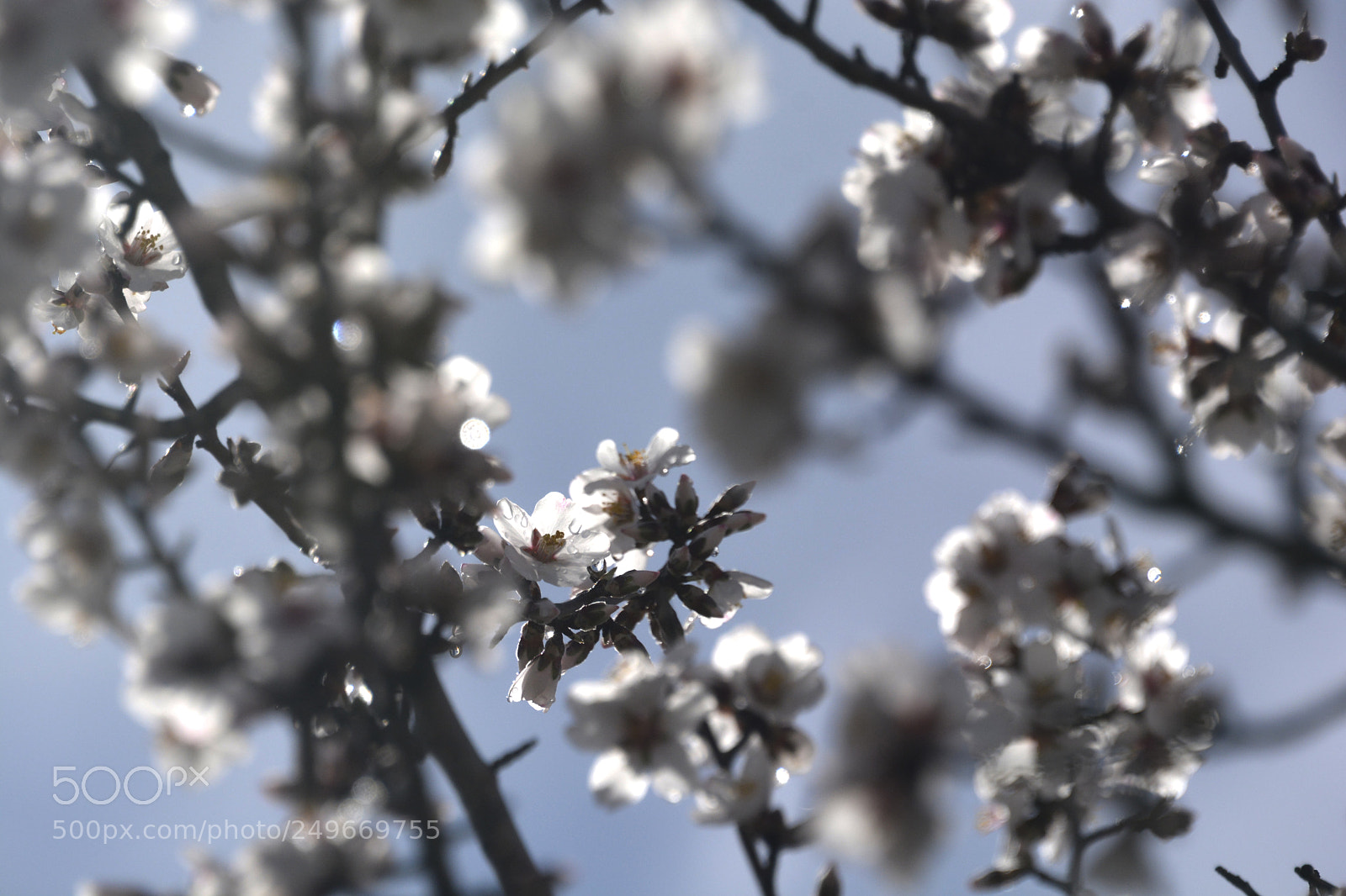 Nikon D7100 sample photo. Jpg photography