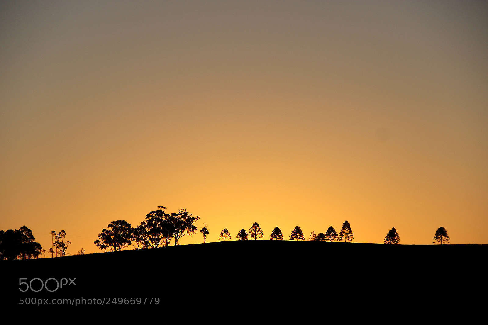 Canon EOS 600D (Rebel EOS T3i / EOS Kiss X5) sample photo. Simple sunset @ campbelltown, nsw photography