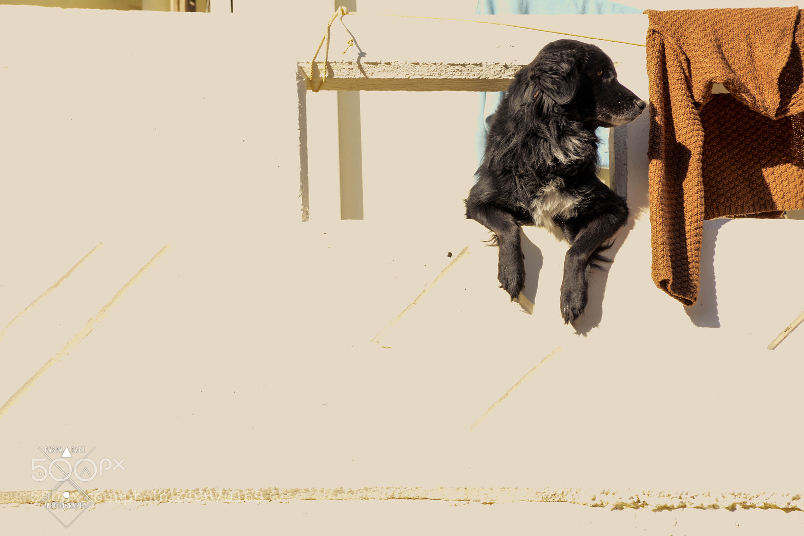 Nikon D7100 sample photo. Street security camera photography