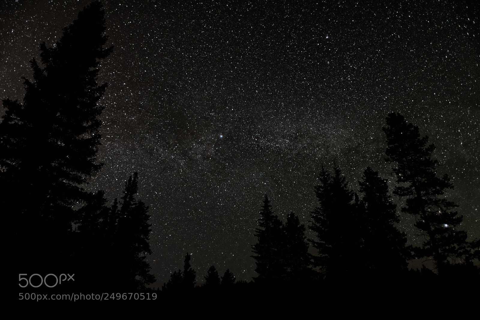 Nikon D600 sample photo. Night sky over lake photography