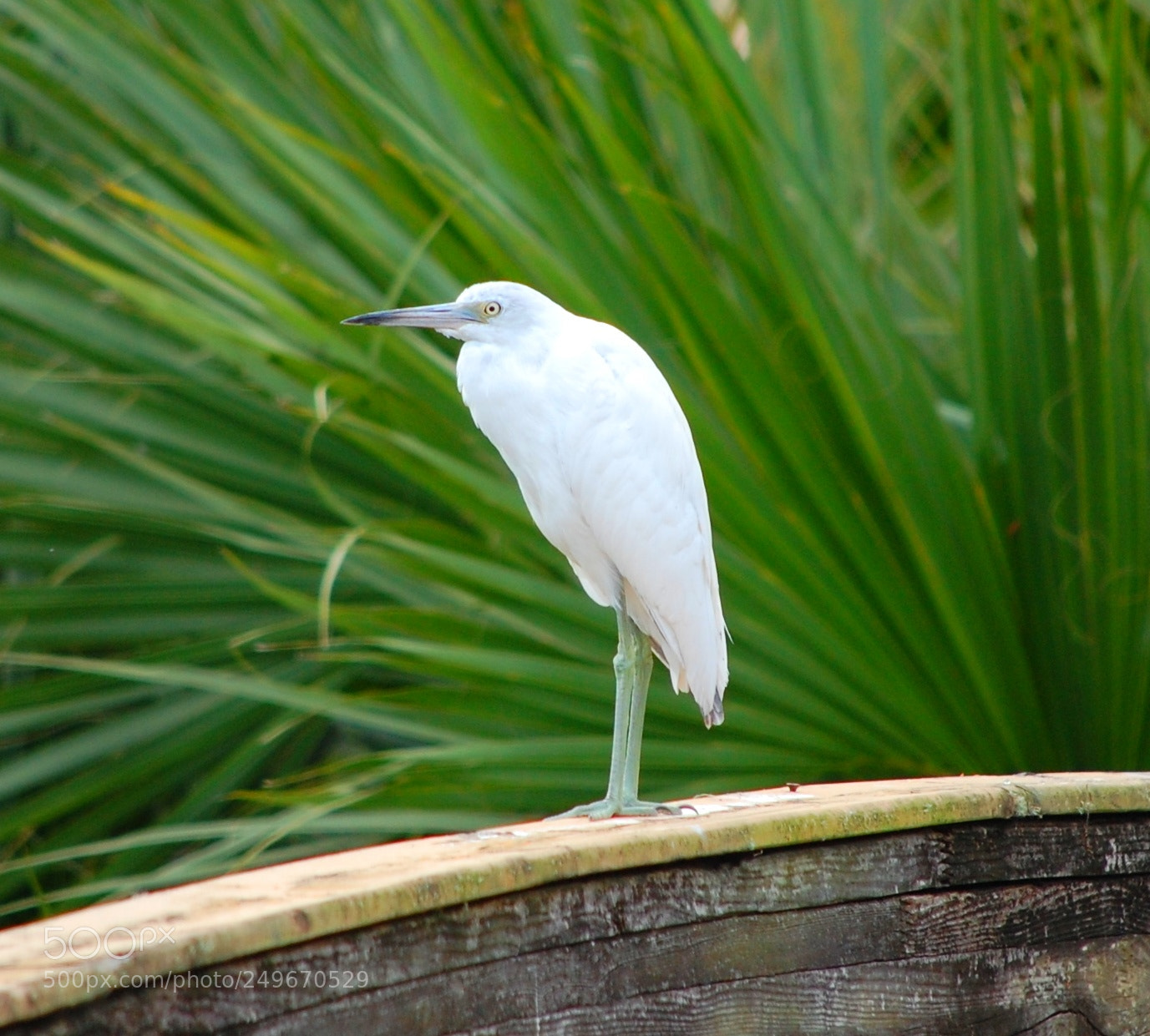 Nikon D40 sample photo. Untitled photography