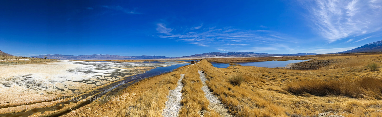 Apple iPhone X sample photo. Cartago wildlife refuge photography