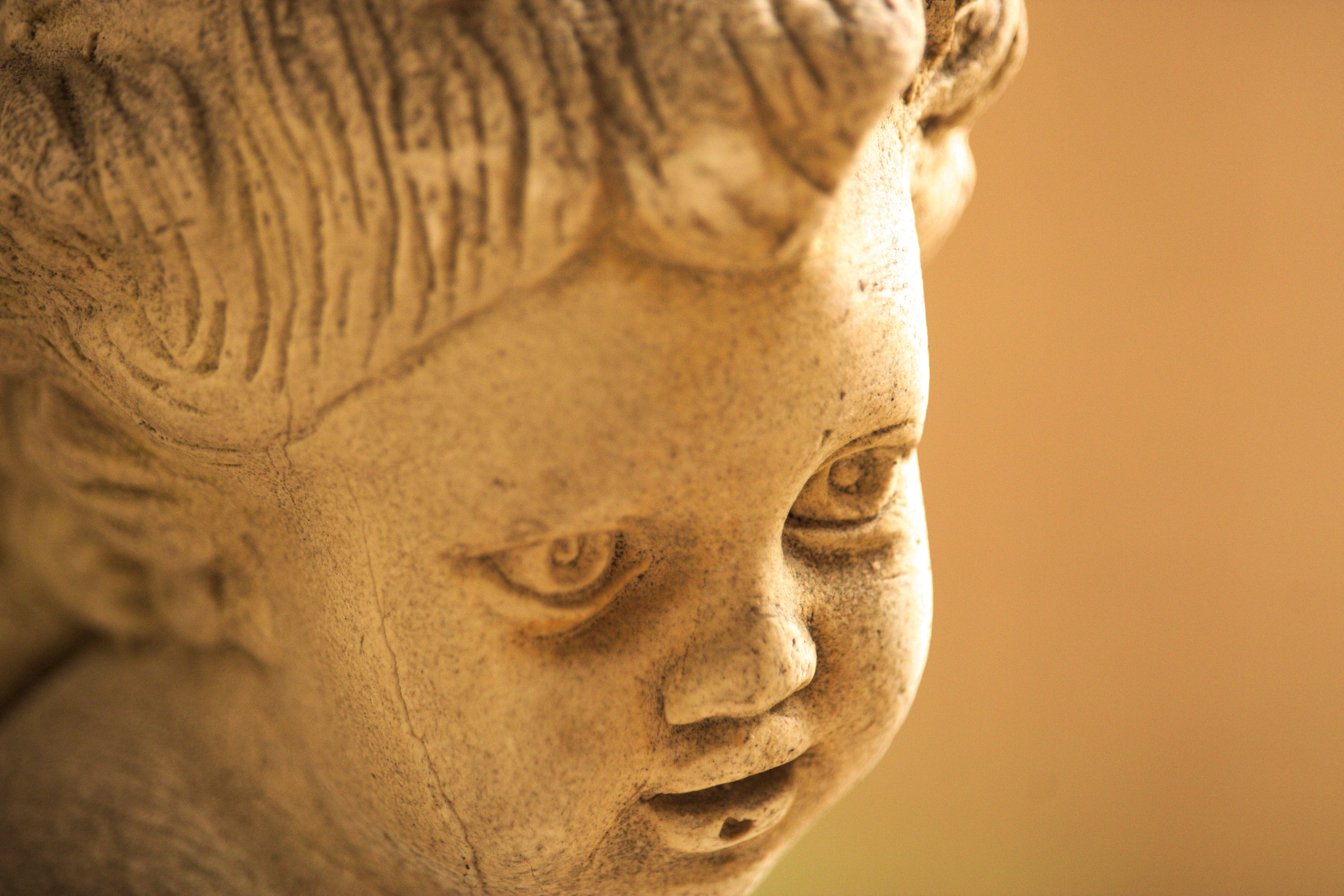 Canon EF-S 55-250mm F4-5.6 IS STM sample photo. Rostinho no vaso photography