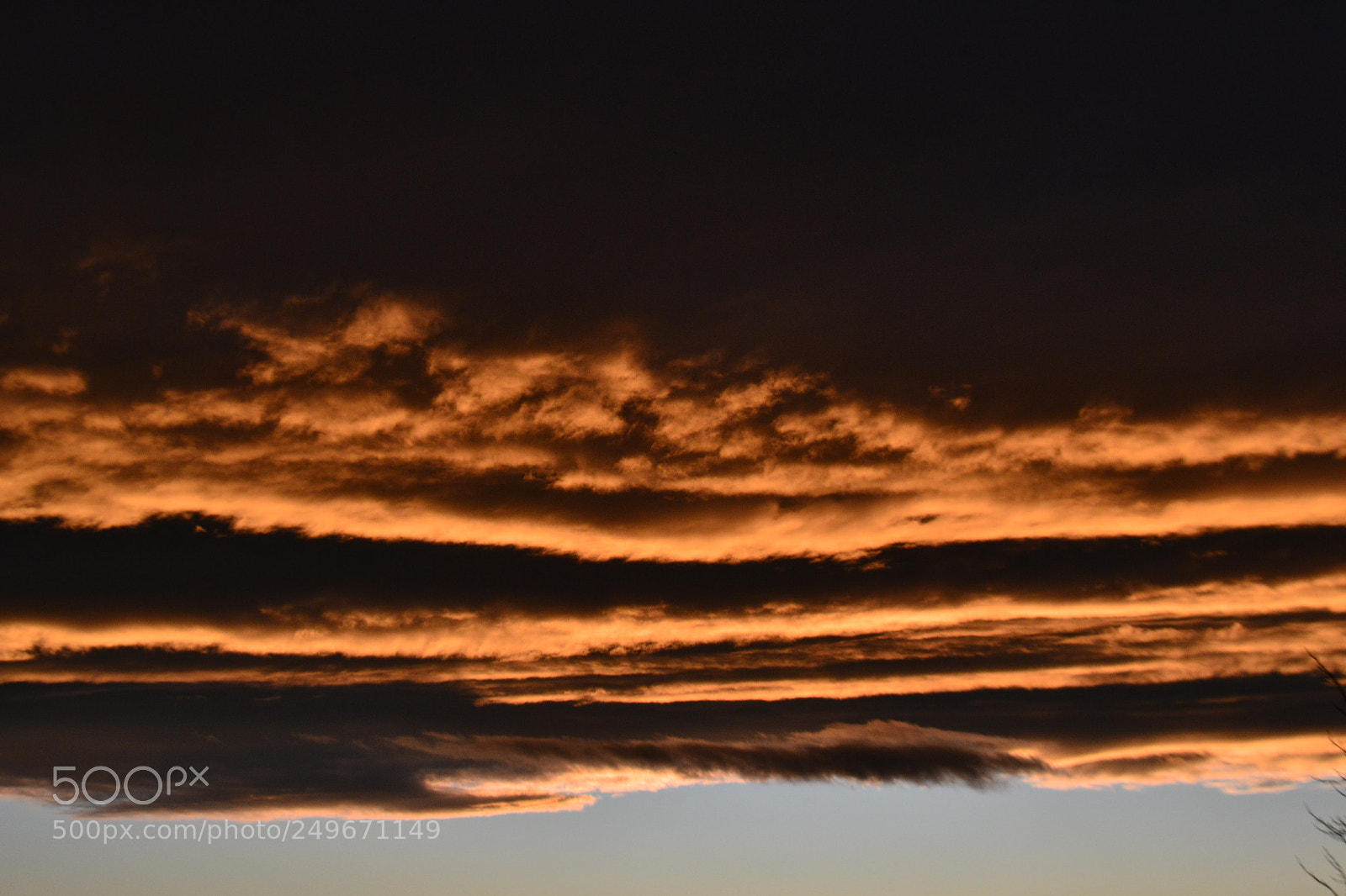 Nikon D3100 sample photo. Untitled photography