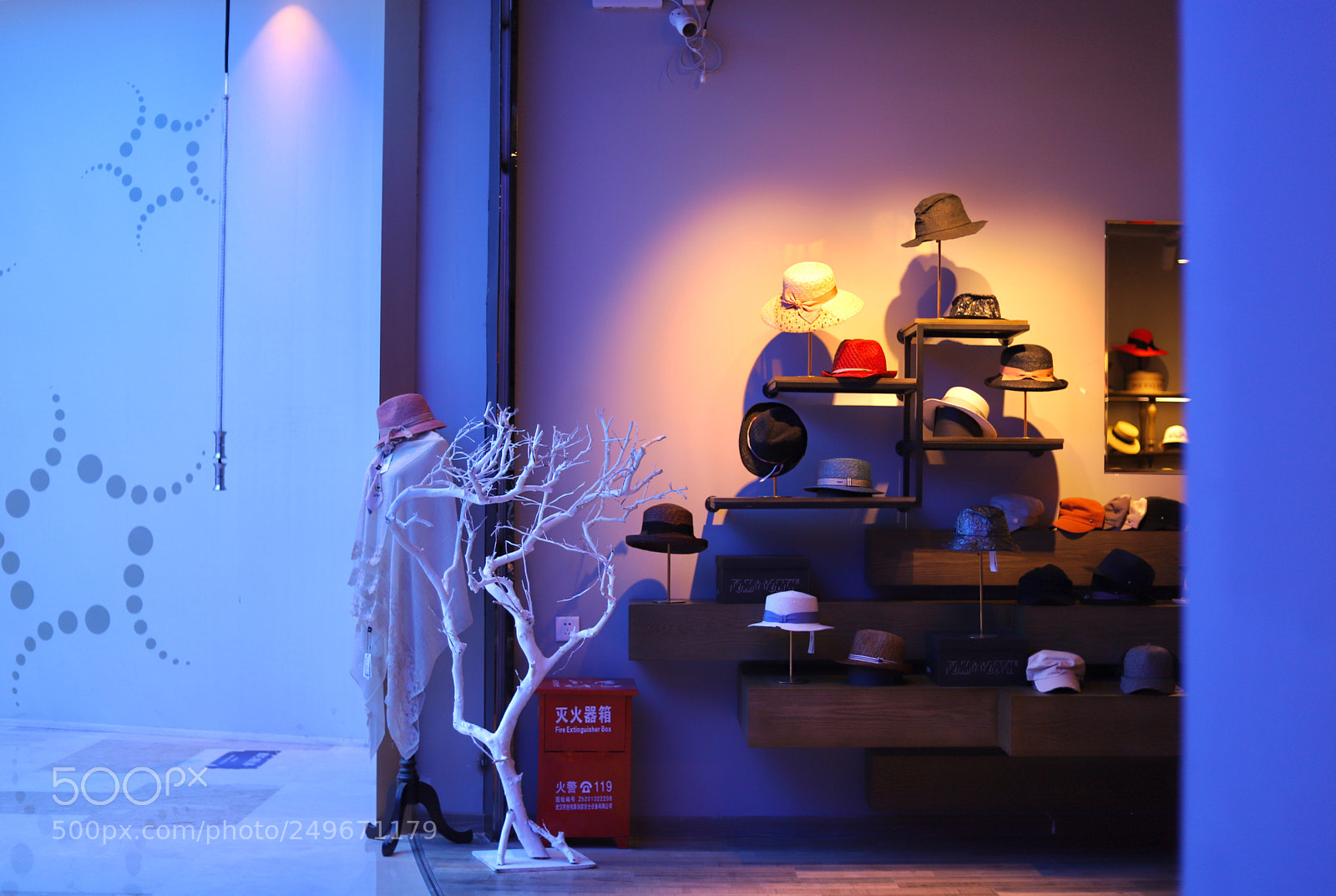 Canon EOS 6D Mark II sample photo. 我就觉得很美 photography