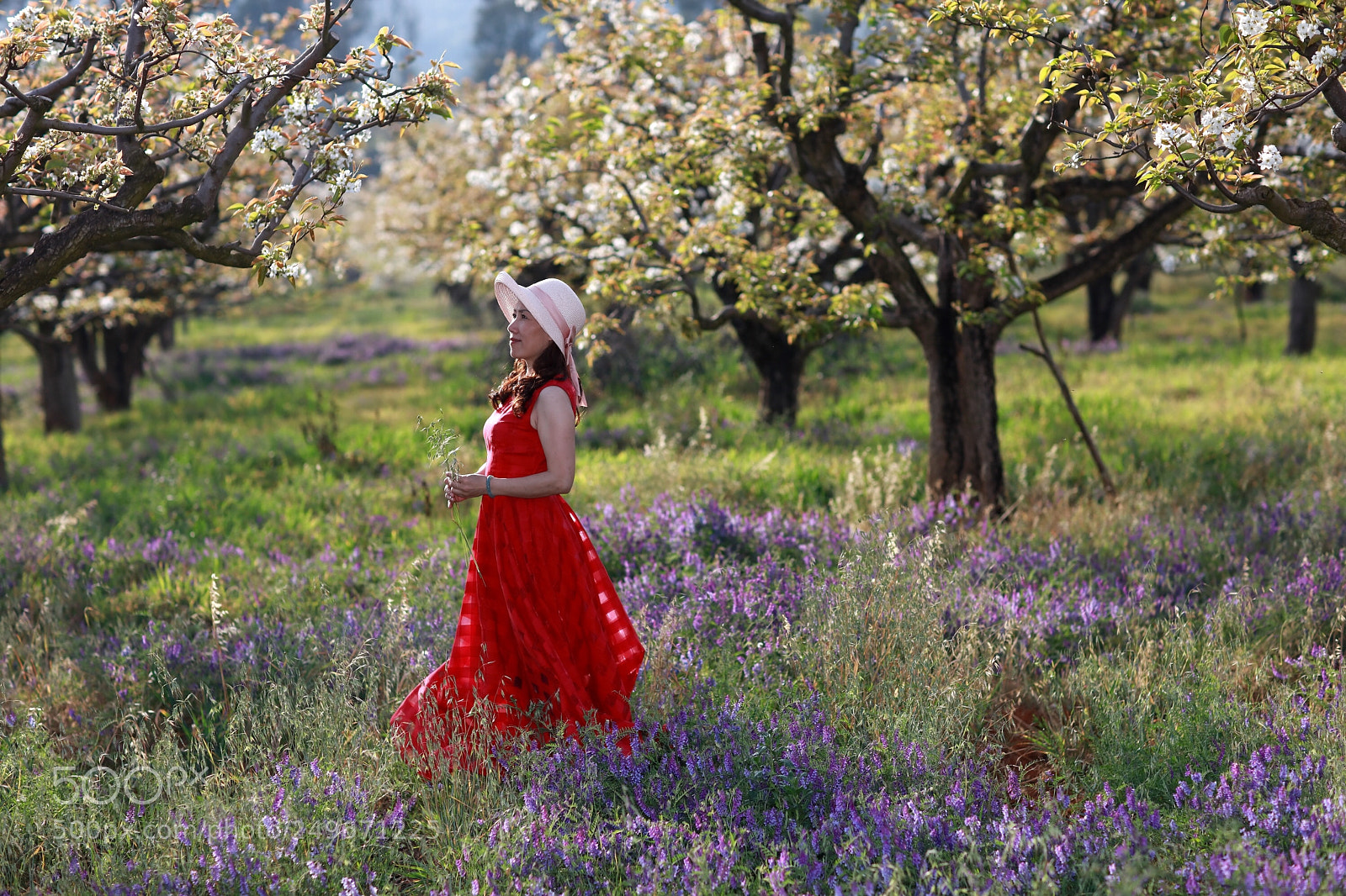 Canon EOS 5DS R sample photo. 梨园女孩 photography