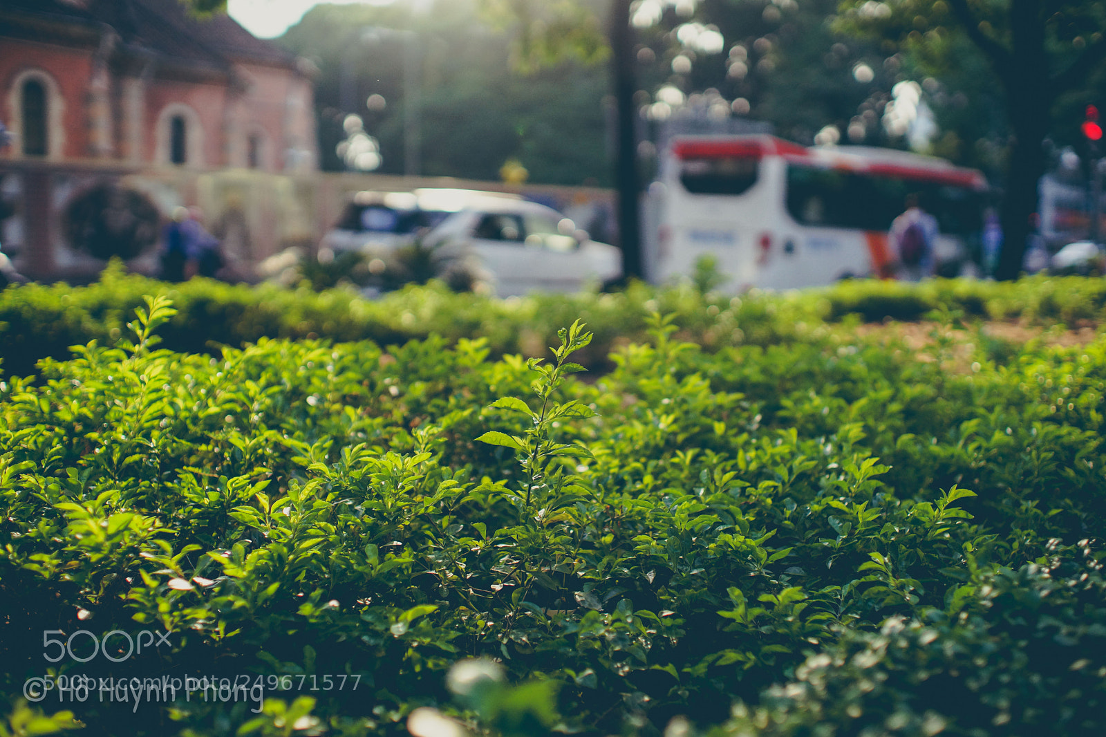 Sony SLT-A99V sample photo. Chiều tàn :) photography