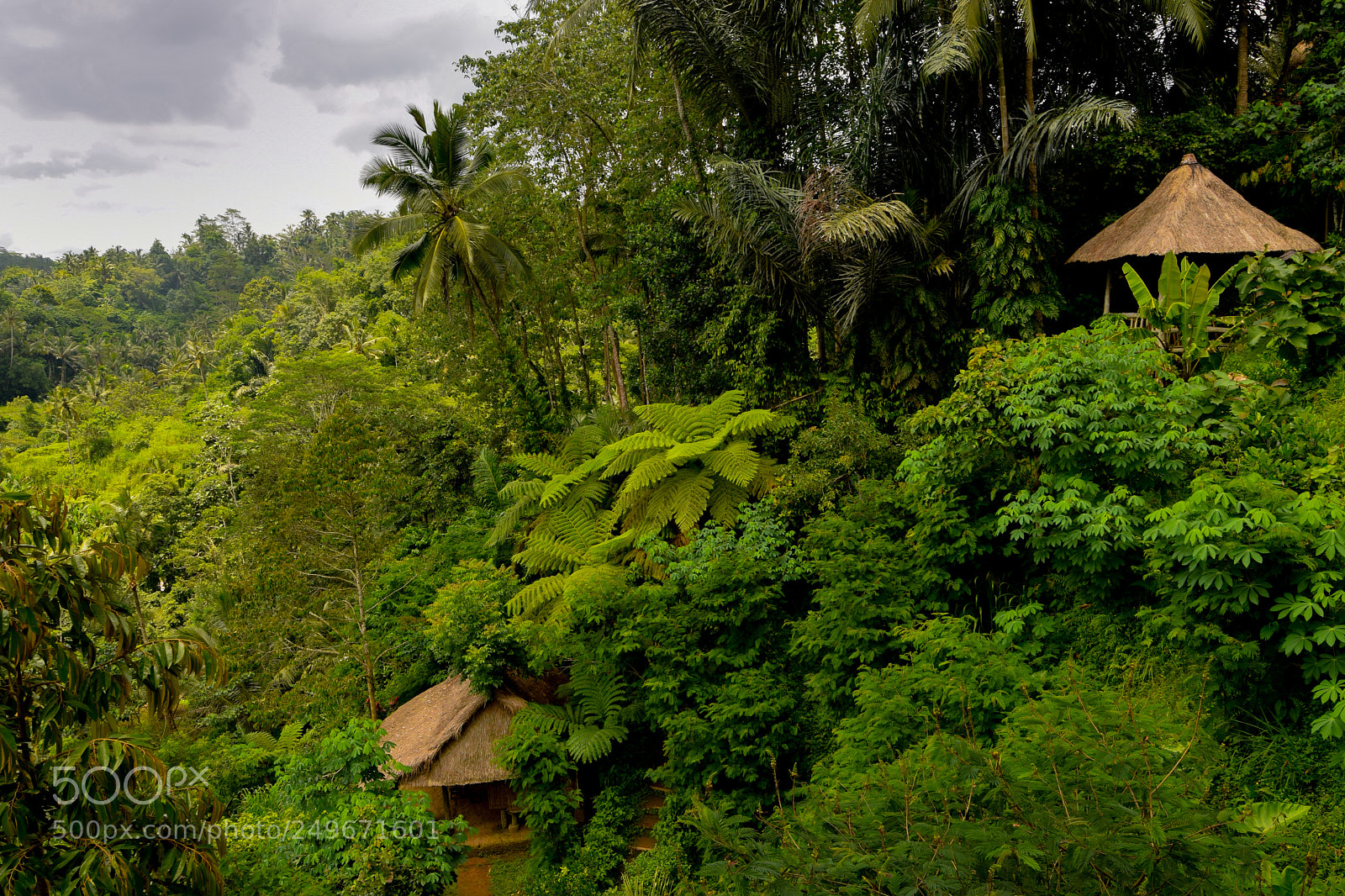 Nikon D3300 sample photo. Balinese hillside photography