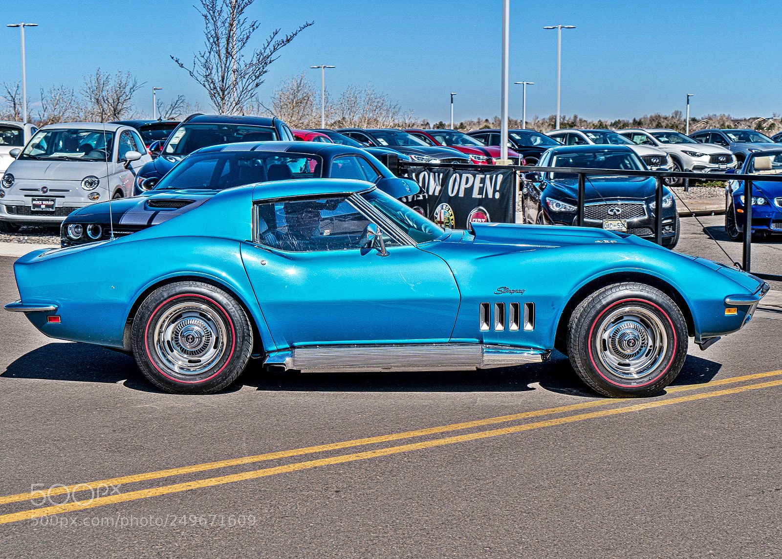 Sony a9 sample photo. Vette photography