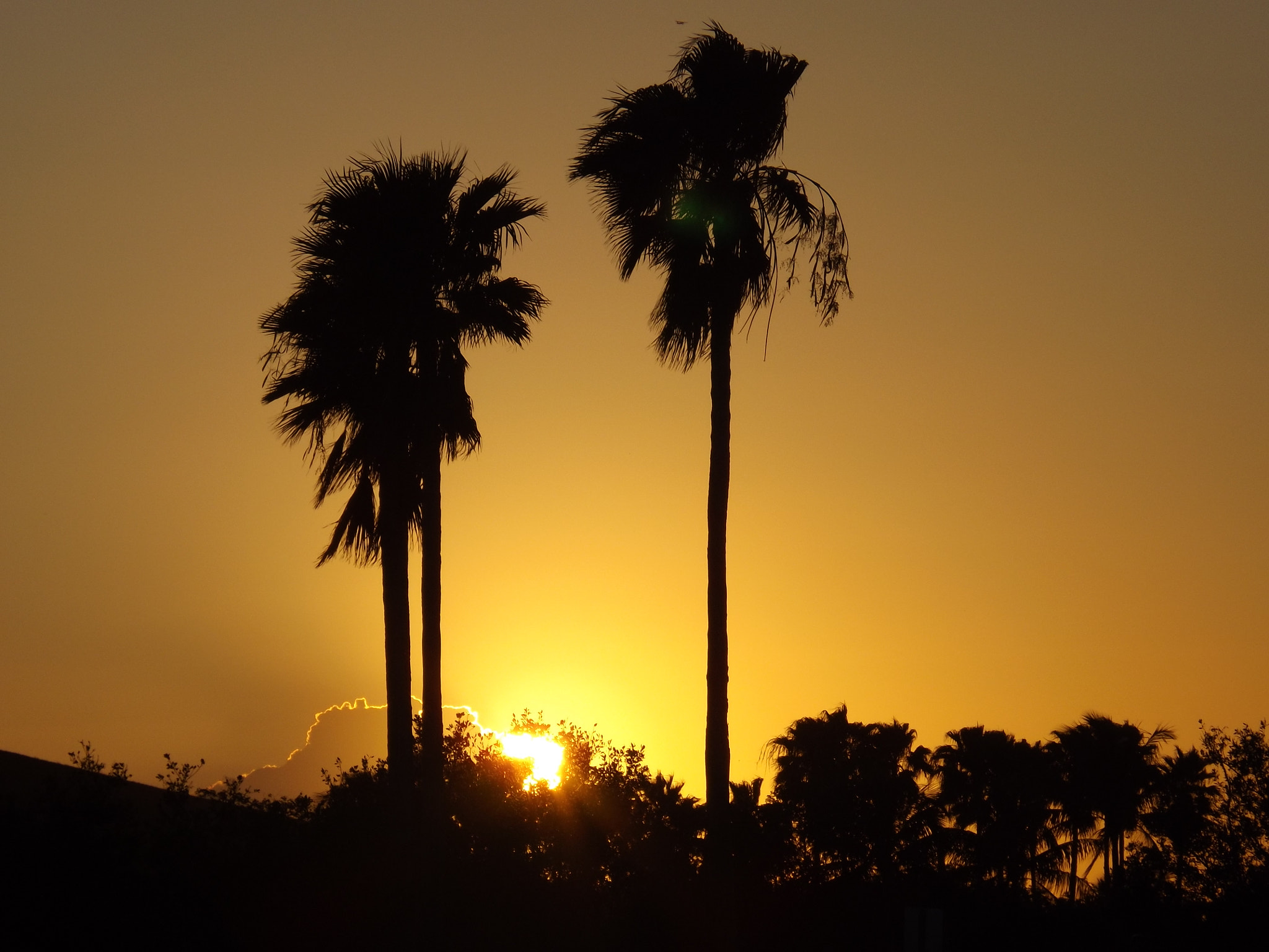 Fujifilm FinePix S4400 sample photo. Palm sunset photography