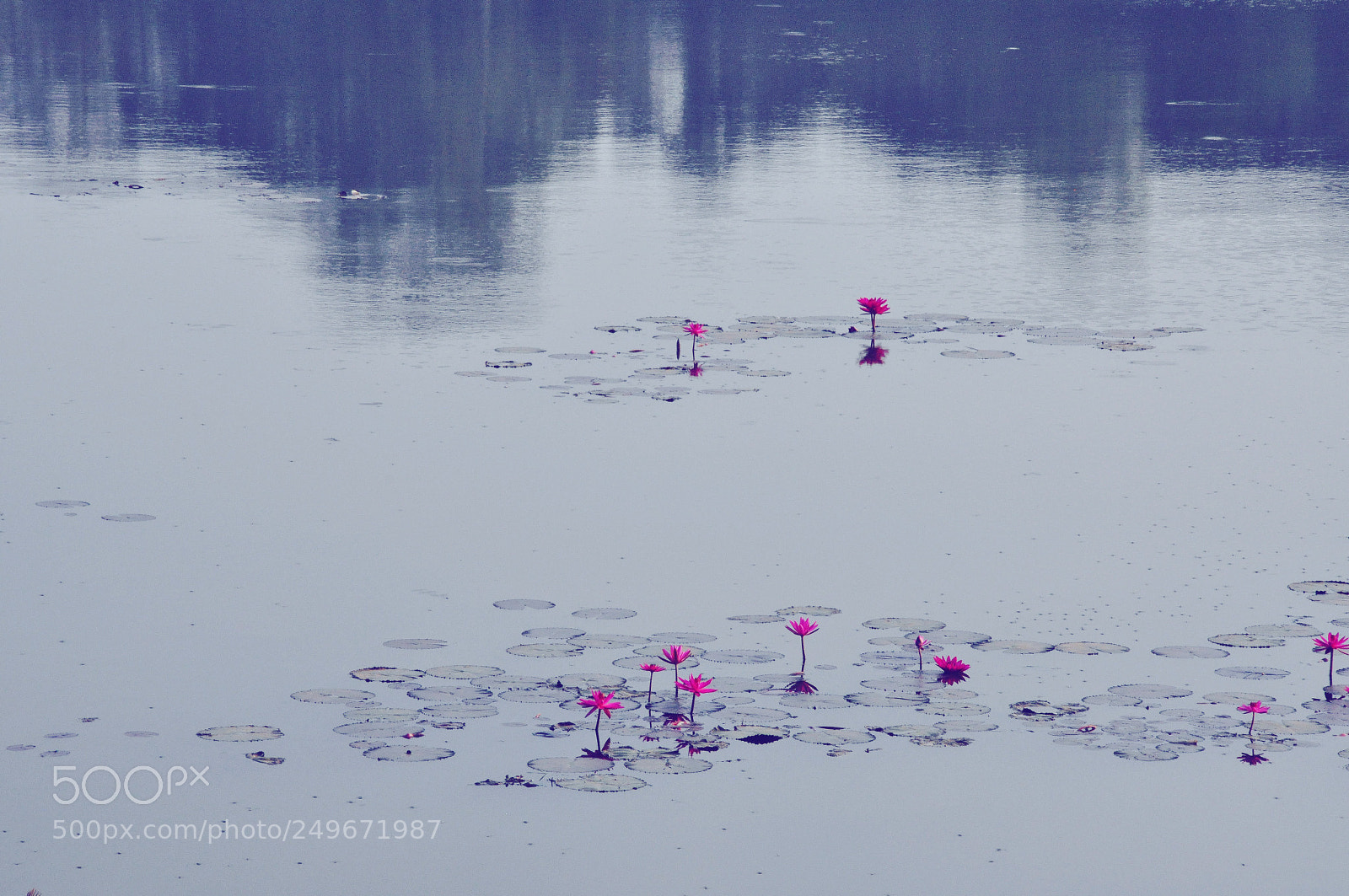 Nikon D90 sample photo. Angkor wat,siem reap,cambodia photography