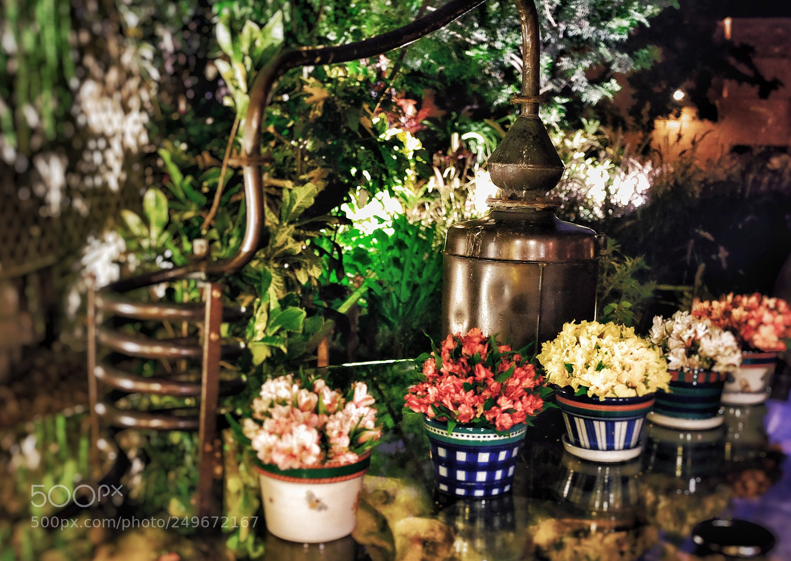 Fujifilm X100S sample photo. Flowers photography