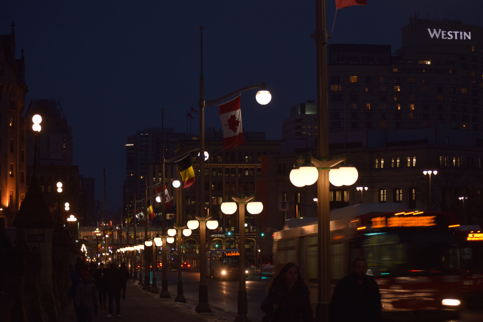 Nikon D5300 sample photo. Untitled photography