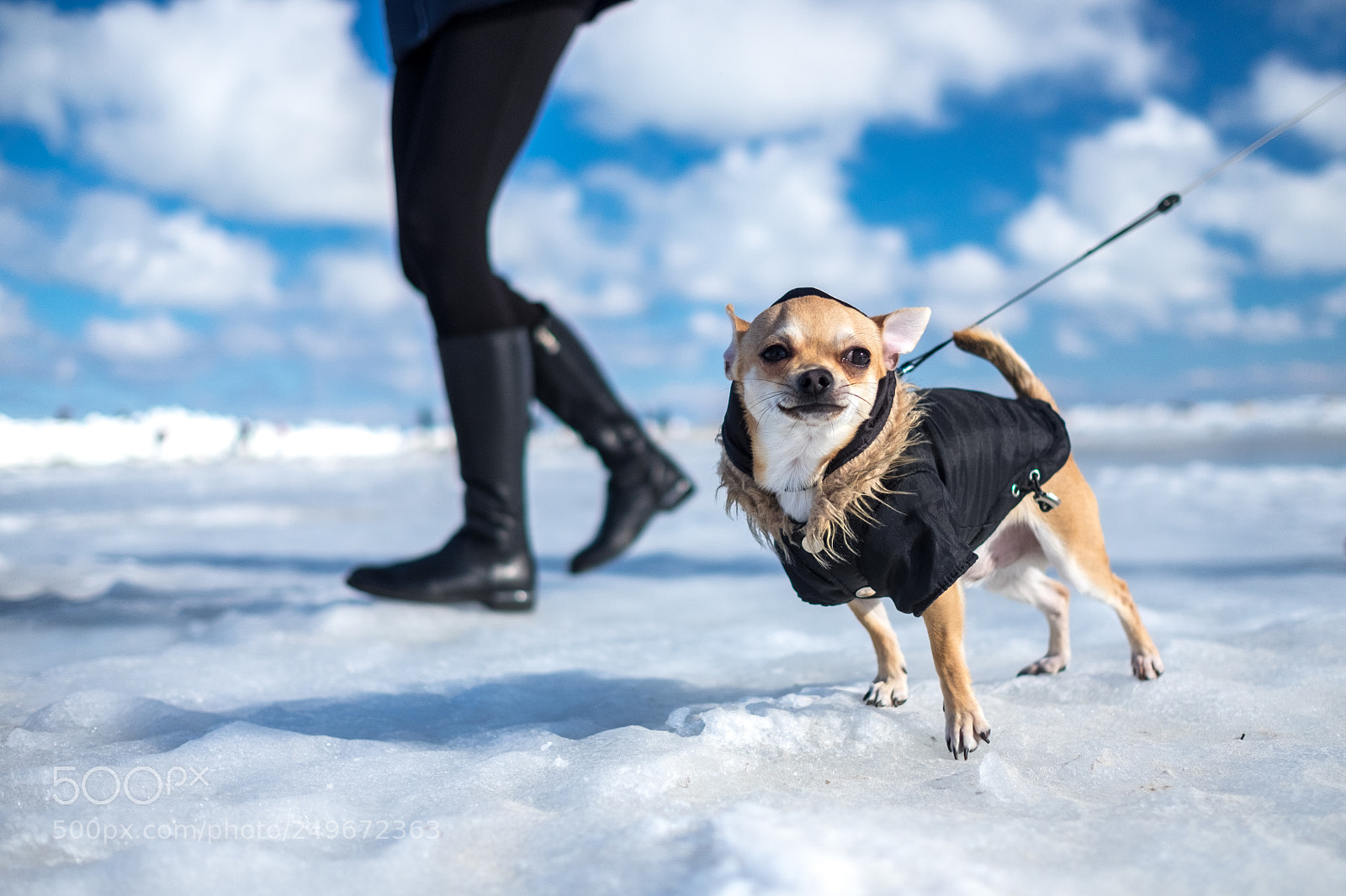 Fujifilm X-T10 sample photo. Man, it's freezing in photography