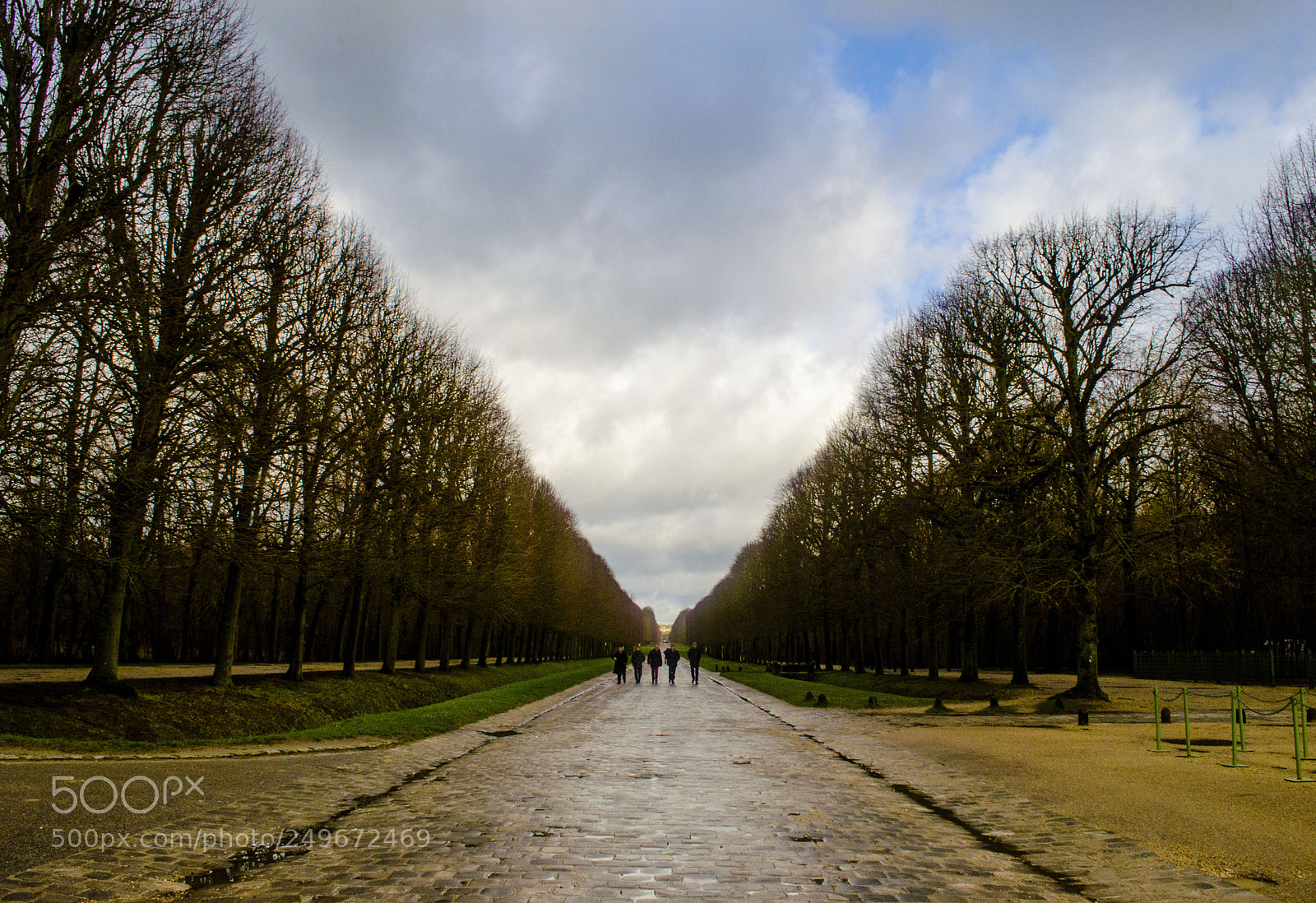 Nikon D5100 sample photo. Walking through versailles photography