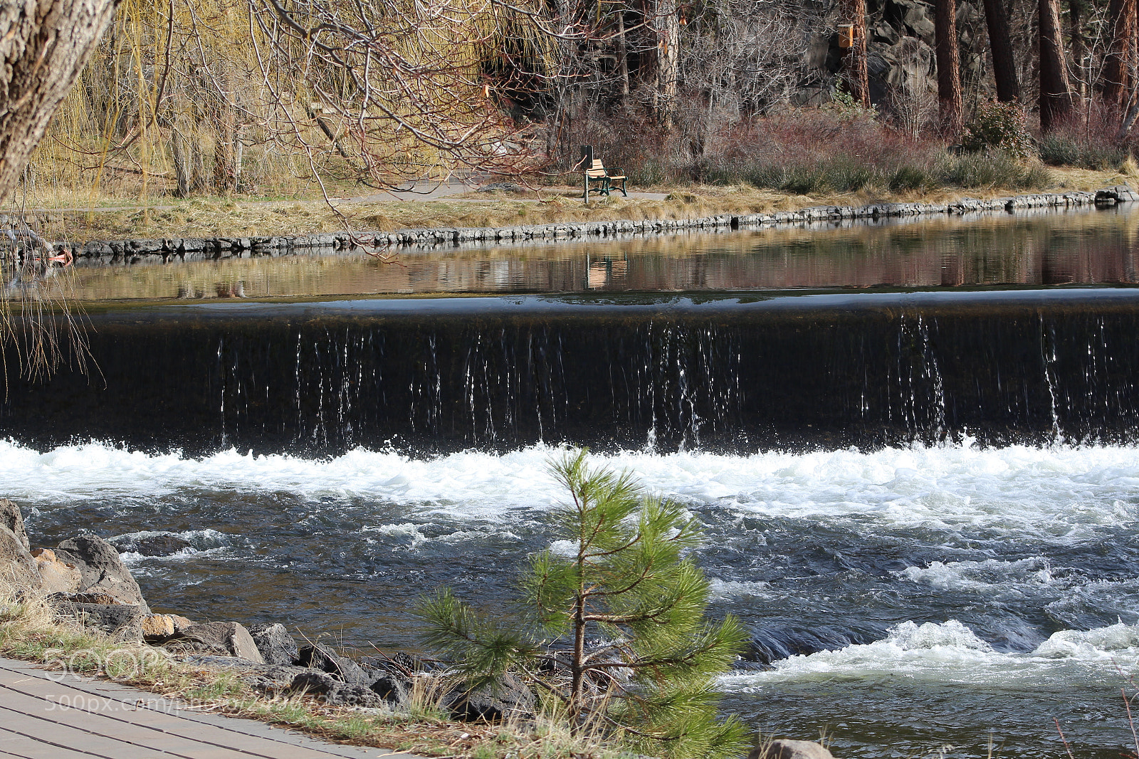Canon EF 75-300mm f/4-5.6 sample photo. Img photography