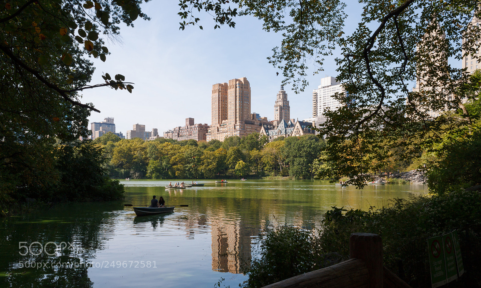 Canon EOS 500D (EOS Rebel T1i / EOS Kiss X3) sample photo. Central park, new york photography