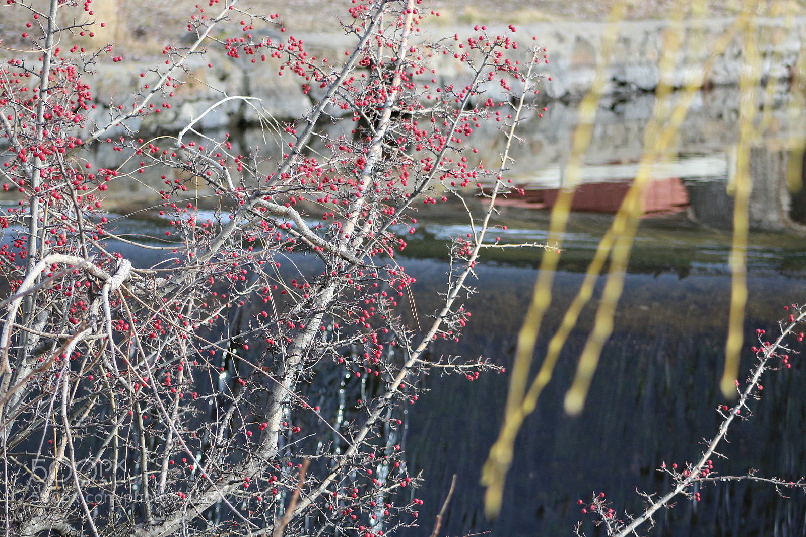 Canon EF 75-300mm f/4-5.6 sample photo. Img photography