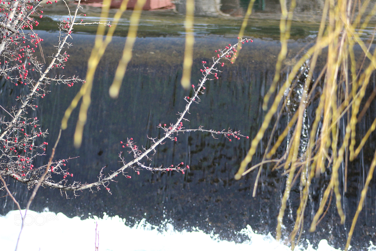 Canon EF 75-300mm f/4-5.6 sample photo. Img photography