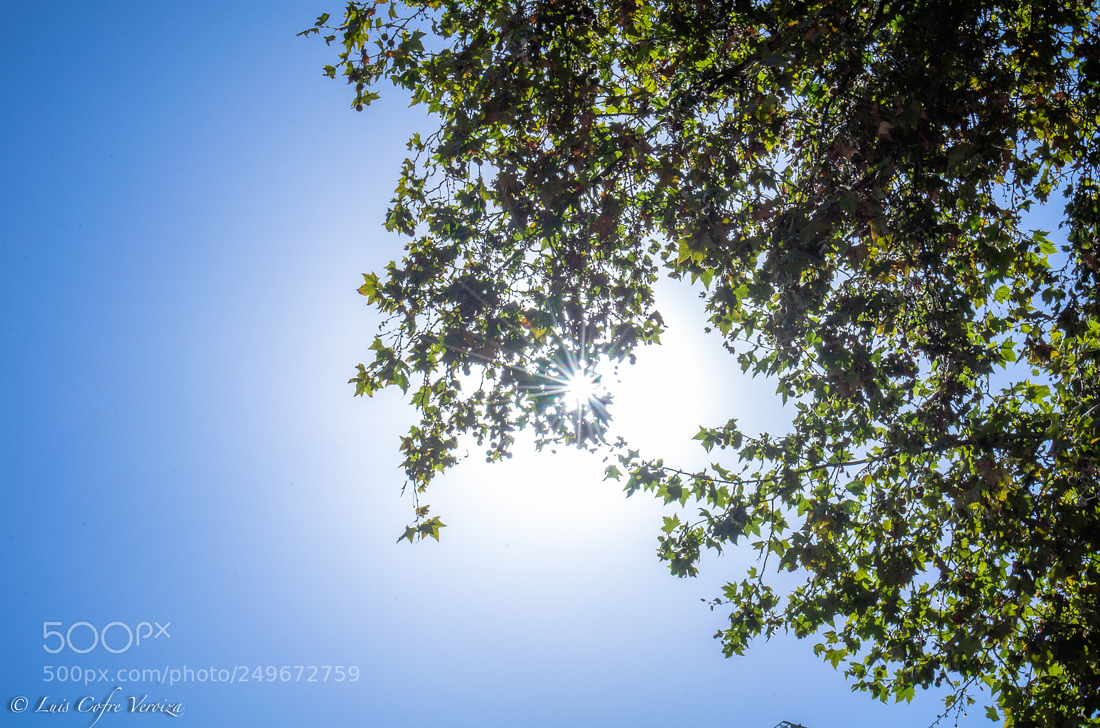 Nikon D5100 sample photo. Busca... photography