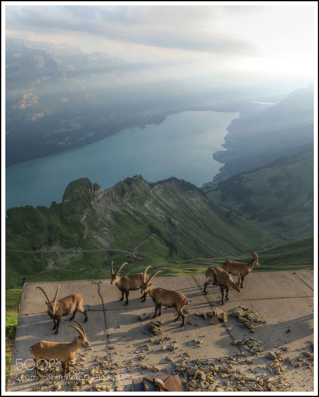 Canon PowerShot G3 X sample photo. Auf dem brienzer-rothorn photography