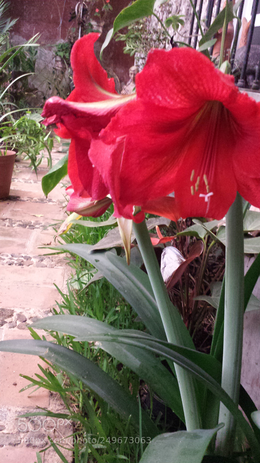 Samsung Galaxy S4 sample photo. Untitled photography