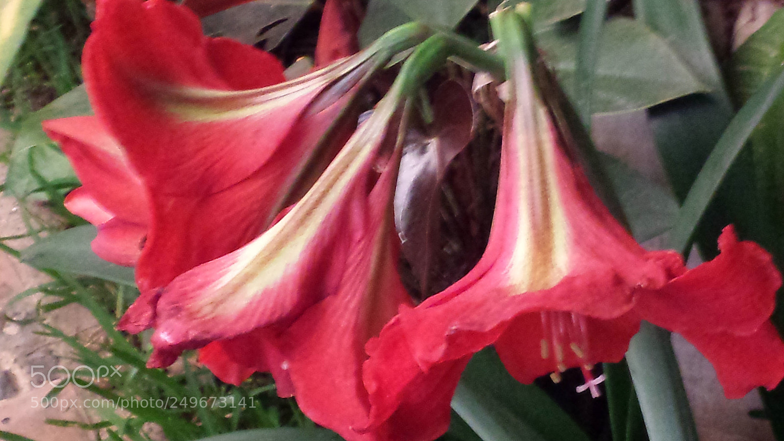 Samsung Galaxy S4 sample photo. Untitled photography