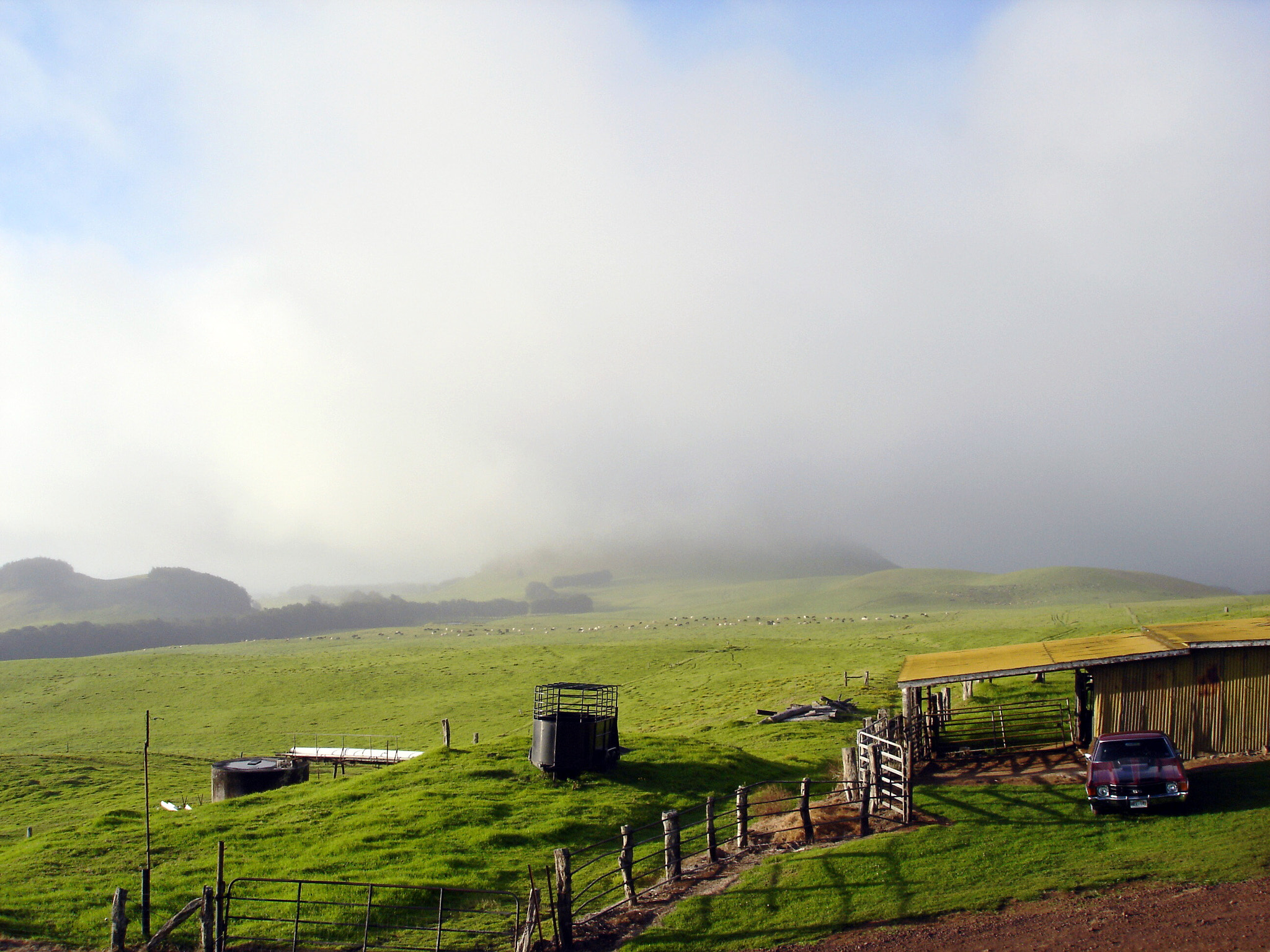 Kodak Picture Maker G3 sample photo. Misty morning photography