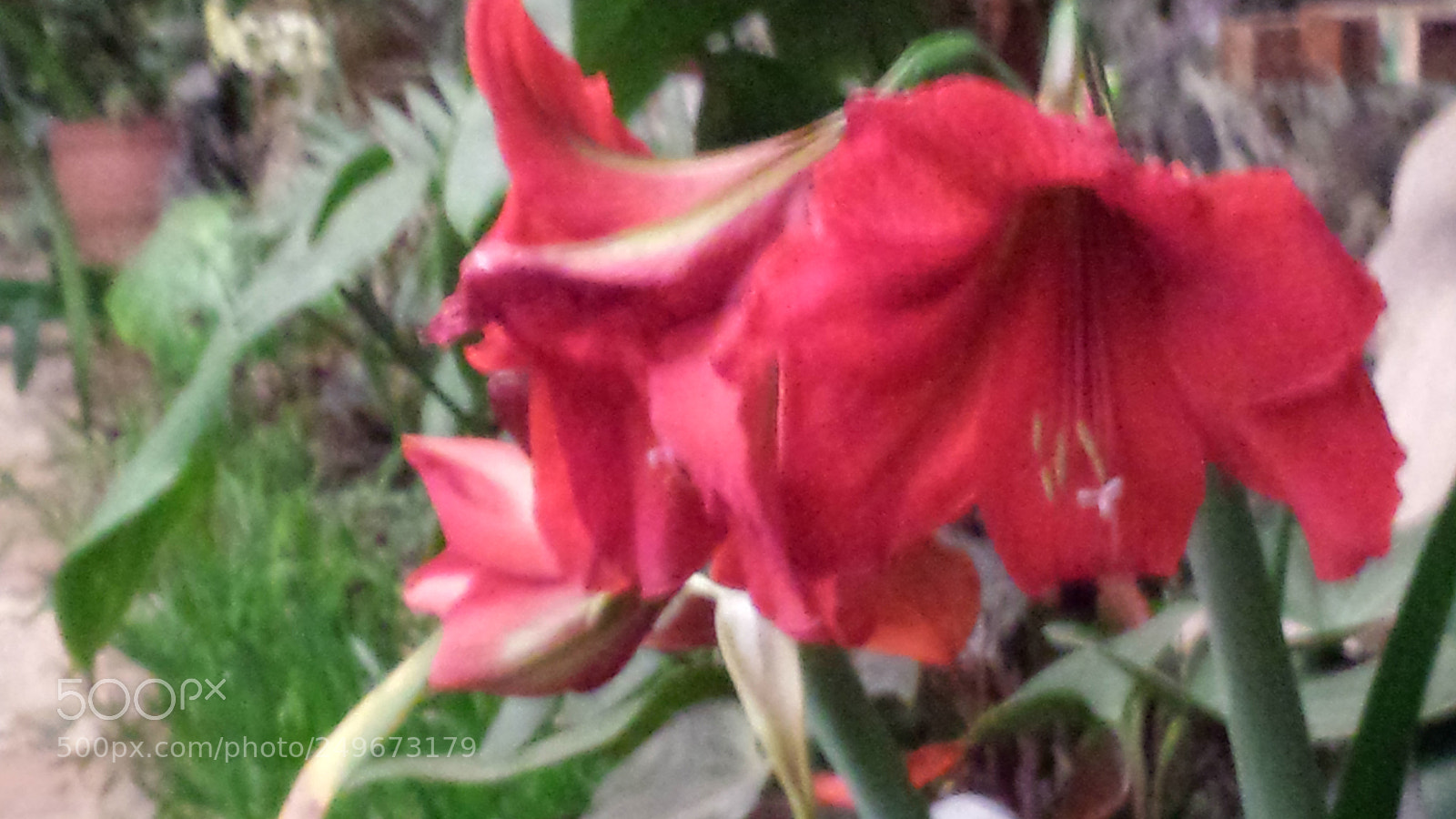 Samsung Galaxy S4 sample photo. Untitled photography