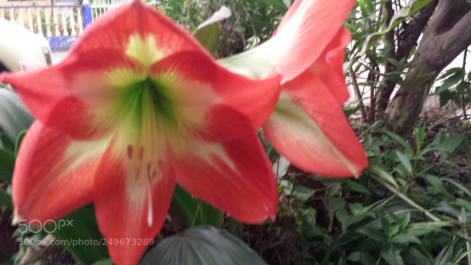 Samsung Galaxy S4 sample photo. Untitled photography