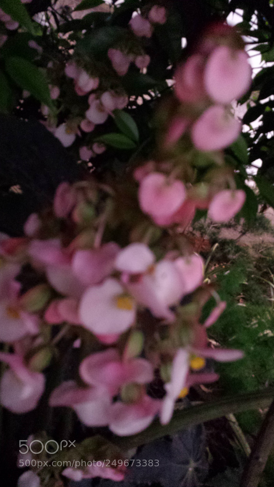 Samsung Galaxy S4 sample photo. Untitled photography