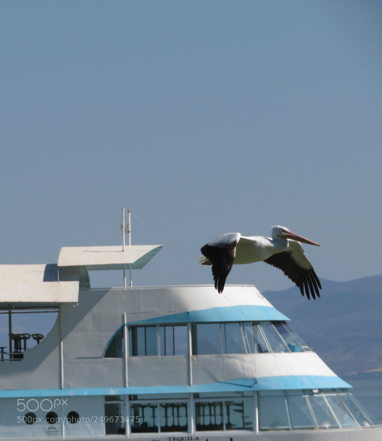 Canon PowerShot SX720 HS sample photo. Al vuelo photography