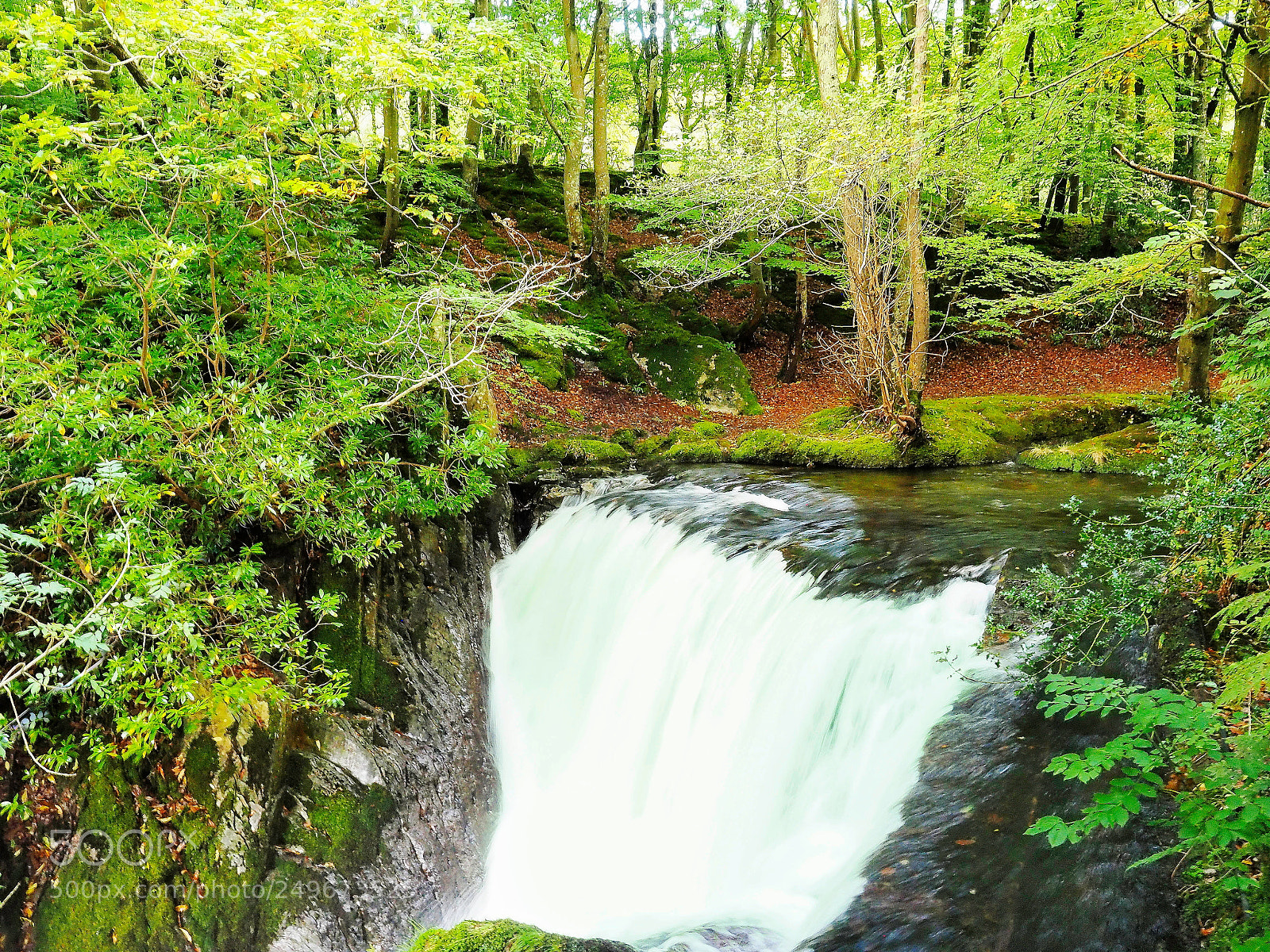 Olympus OM-D E-M1 sample photo. The waterfall near dyfi photography