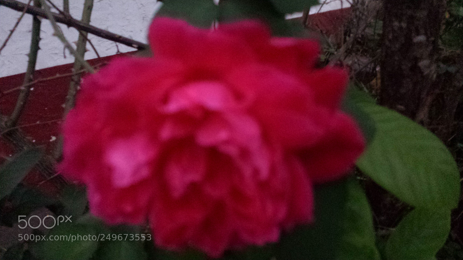 Samsung Galaxy S4 sample photo. Untitled photography