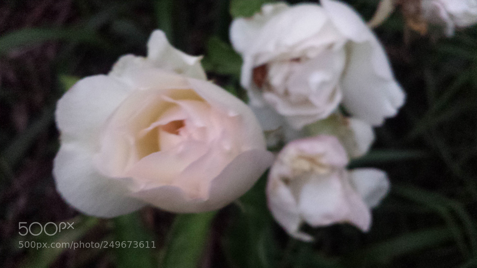 Samsung Galaxy S4 sample photo. Untitled photography