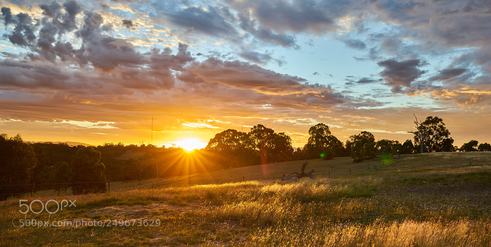 Sony a7R II sample photo. Sunrise, plenty river trail photography