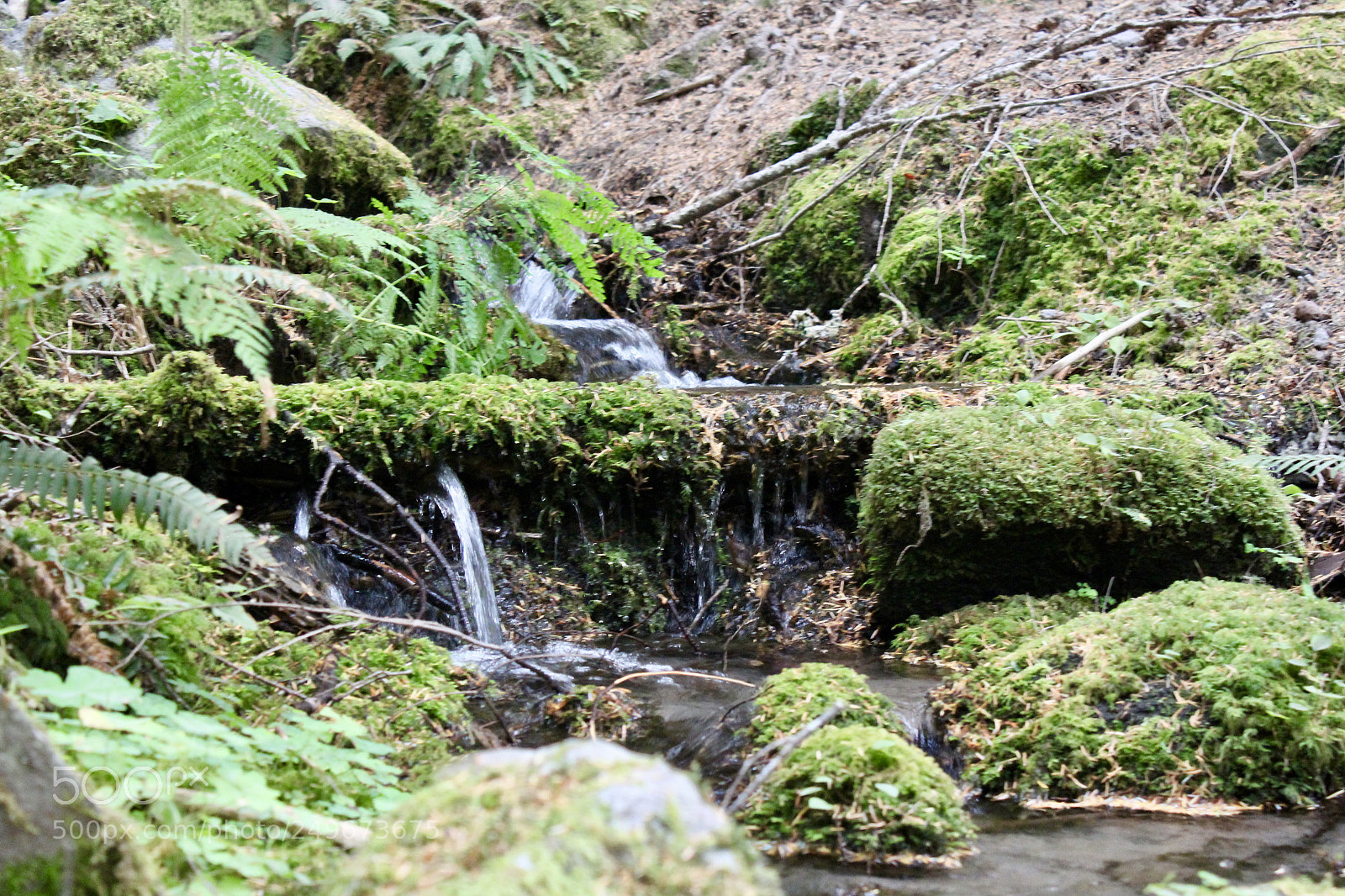 Canon EOS 1200D (EOS Rebel T5 / EOS Kiss X70 / EOS Hi) sample photo. Fullsizeoutput f photography